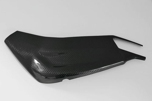alpha racing swing arm cover carbon BMW S 1000 RR
